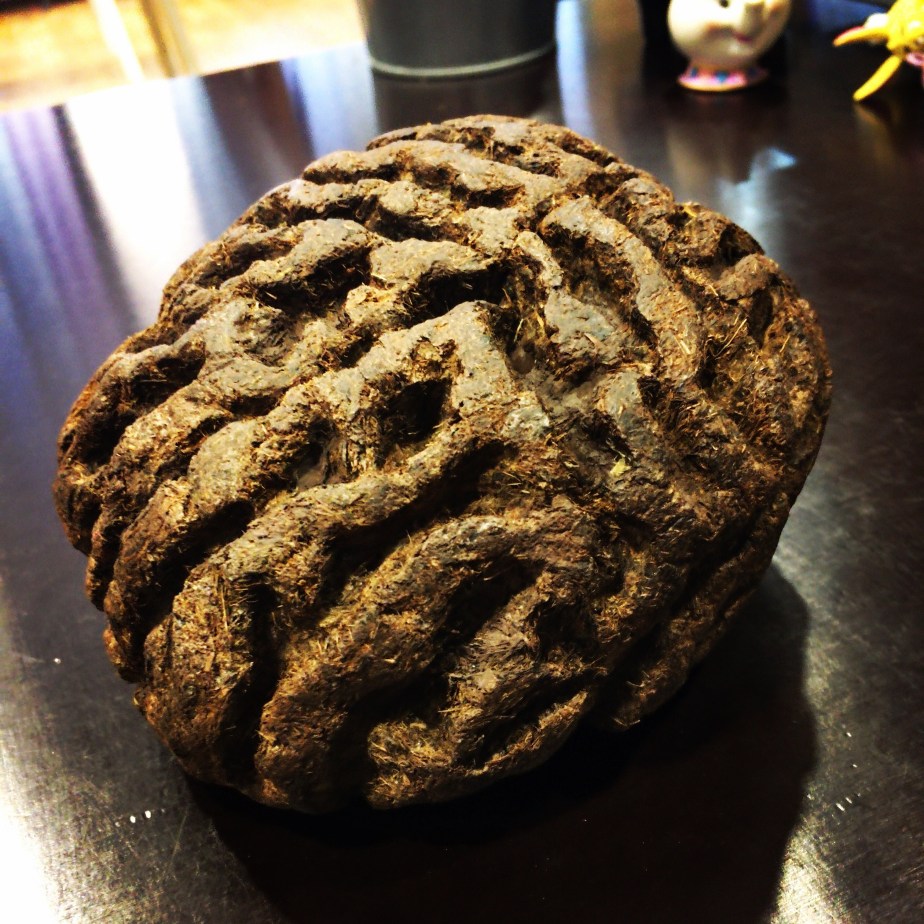 Logbucheintrag zum 25.10.2016, der Käpt’n gibt einen Tipp&nbsp;ab: