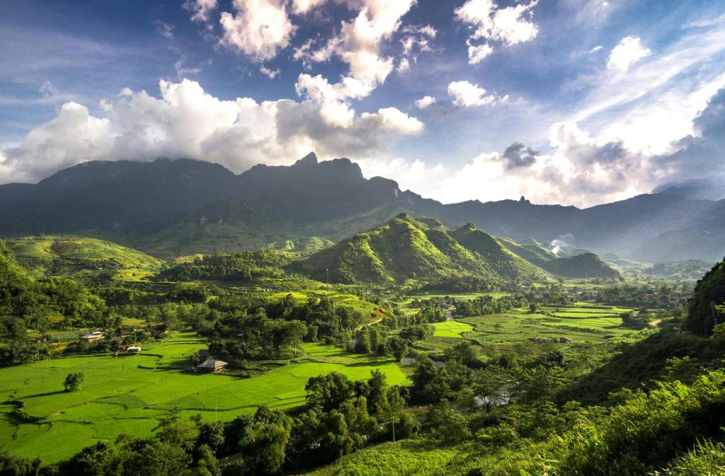 Teeanbau in Vietnam